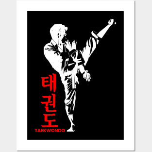 taekwondo Posters and Art